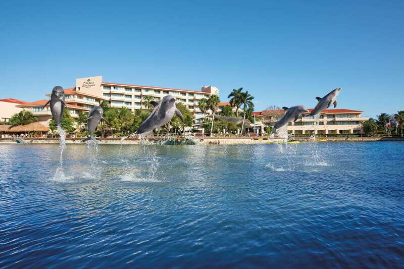 Puerto Aventuras: Amazing Dolphin Encounter with Lunch - The Sum Up