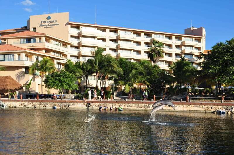 Puerto Aventuras: Dolphin Royal Swim & Kayaking with Buffet - Final Thoughts