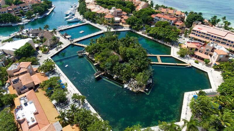 Puerto Aventuras: Dolphin Swim Adventure - What You Can Expect from the Tour