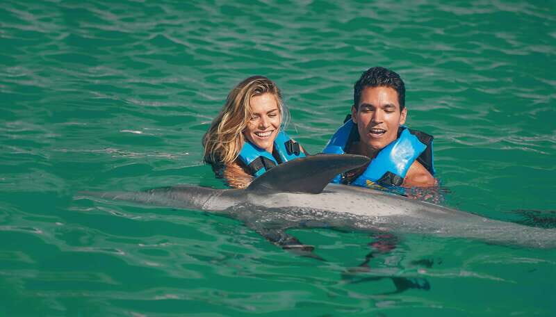 Puerto Aventuras: Dolphin Swim Adventure - Practical Details and Tips