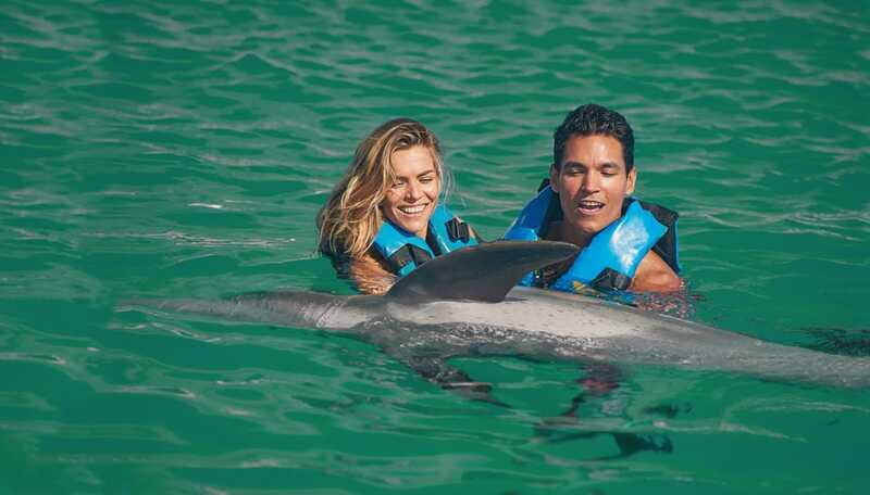 Puerto Aventuras: Dolphin Swim Adventure - The Sum Up