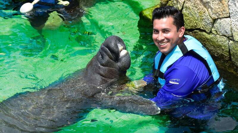 Puerto Aventuras: Dolphin Swim Adventure - FAQ