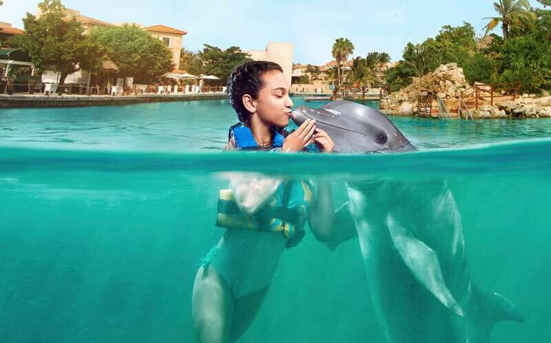 Puerto Aventuras: Dolphin Swim, Manatee Meet, and Lunch - Key Points