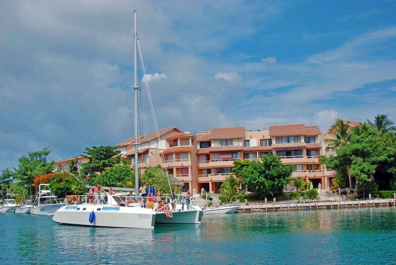 Puerto Aventuras: Dolphin Swim, Manatee Meet, and Lunch - What to Expect from This Tour
