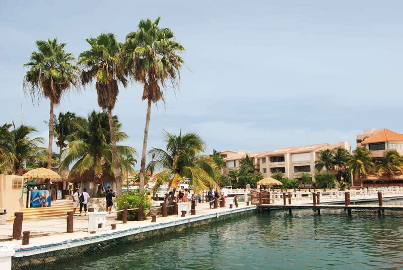 Puerto Aventuras: Dolphin Swim, Manatee Meet, and Lunch - FAQ