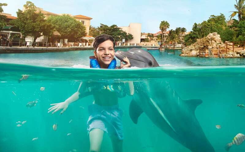 Puerto Aventuras: Dolphin Swim, Sea Lions, Manatees, & Lunch - Key Points