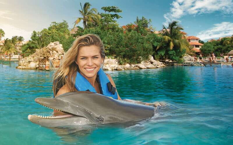 Puerto Aventuras: Dolphin Swim, Sea Lions, Manatees, & Lunch - What Reviews Reveal About the Experience