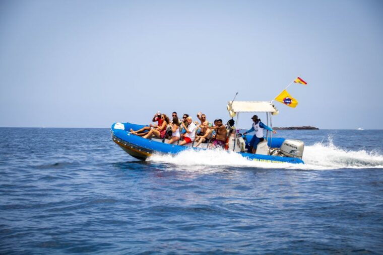 puerto-colon-dolphin-and-whale-watching-speedboat-cruise