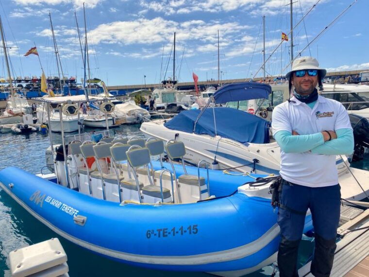 puerto-colon-dolphin-and-whale-watching-speedboat-cruise