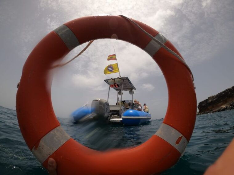puerto-colon-dolphin-and-whale-watching-speedboat-cruise