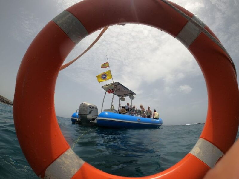 puerto-colon-dolphin-and-whale-watching-speedboat-tour