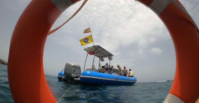 puerto-colon-dolphin-and-whale-watching-speedboat-tour