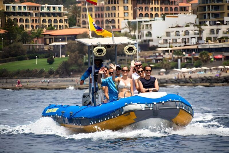 puerto-colon-dolphin-and-whale-watching-speedboat-tour