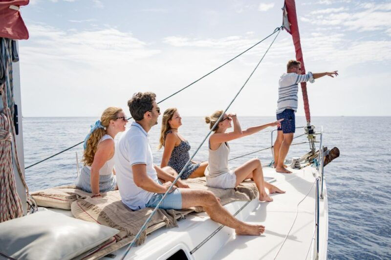 puerto-colon-whale-and-dolphin-watching-yacht-trip