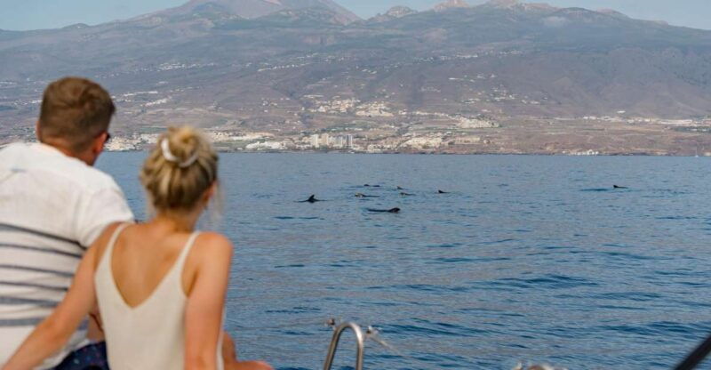 puerto-colon-whale-and-dolphin-watching-yacht-trip