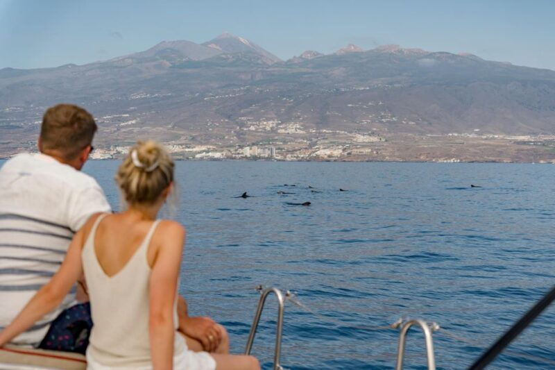 puerto-colon-whale-and-dolphin-watching-yacht-trip