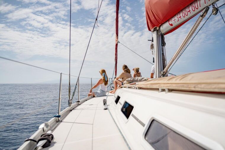 puerto-colon-whale-and-dolphin-watching-yacht-trip
