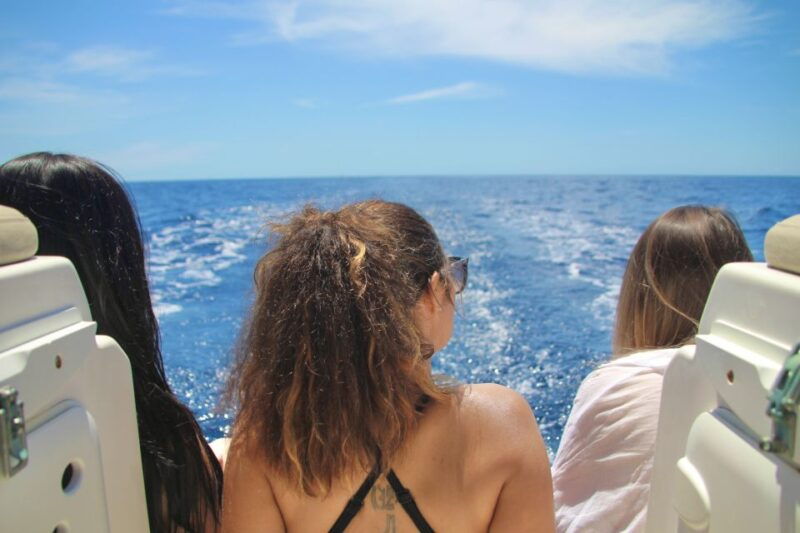puerto-colon-whale-dolphins-sailing-excursion