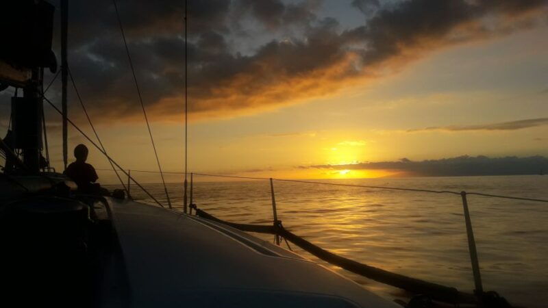 puerto-colon-whale-watching-sailing-tour-with-meal-a-swim