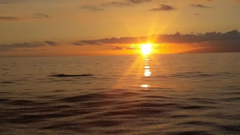 puerto-colon-whale-watching-sailing-tour-with-meal-a-swim