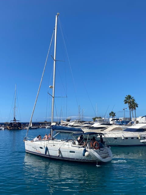 puerto-colon-whale-watching-sailing-tour-with-meal-a-swim