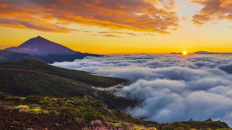 Puerto Cruz: VIP Teide Sunset & Stars, Guachiche Lunch+Cava - FAQ