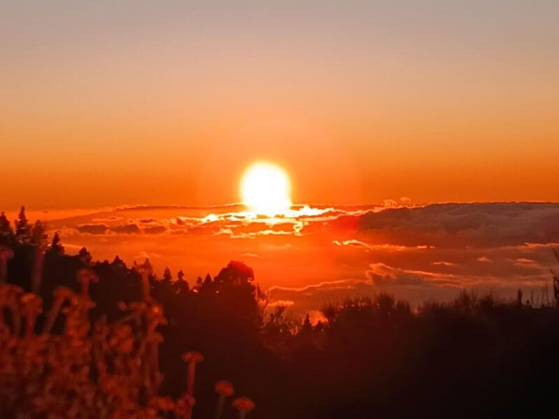 Puerto Cruz: VIP Teide Sunset & Stars, Guachiche Lunch+Cava - Final Thoughts