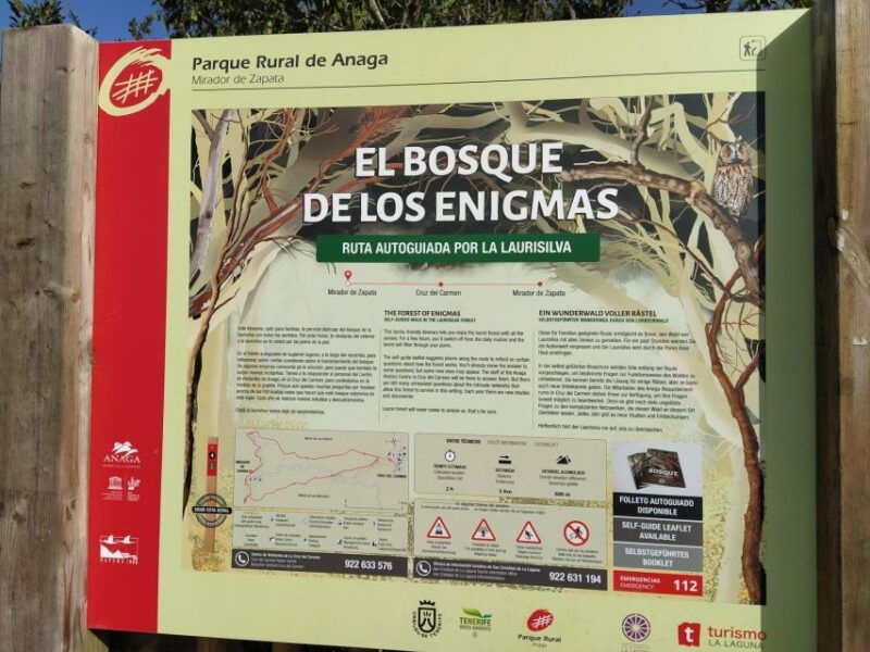 puerto-de-la-cruz-avatar-forest-taganana-teresitas-cocktail
