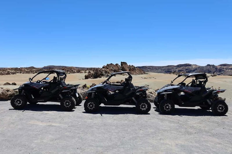 Puerto de la Cruz: Buggy Teide National Park - What Makes This Tour Stand Out?  