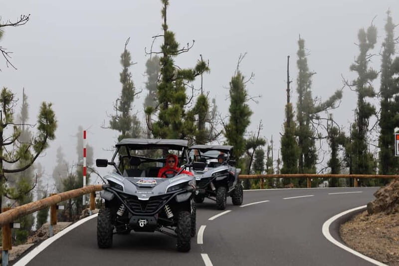 Puerto de la Cruz: Buggy Teide National Park Tour Lunar Land - Discovering the Teide National Park by Buggies