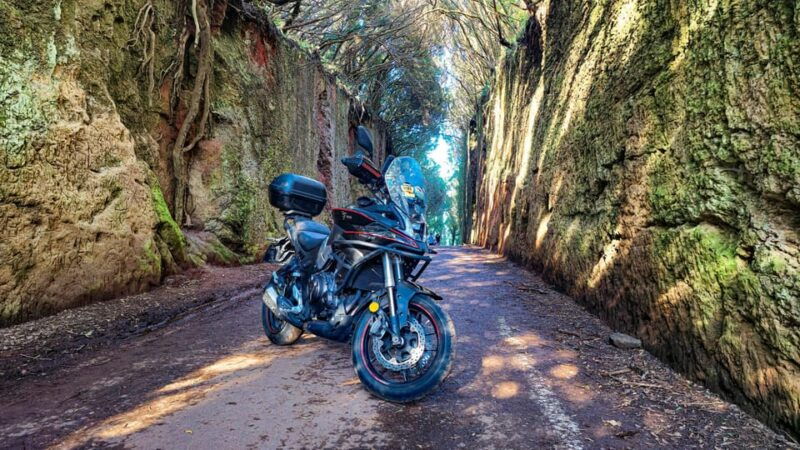 puerto-de-la-cruz-motorbike-tour-through-teide-national-park