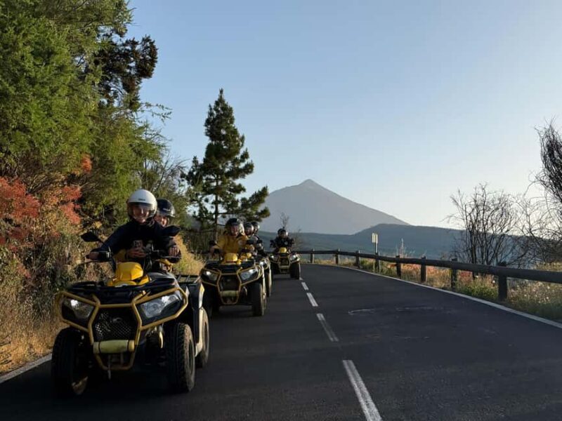 Puerto de la Cruz: Quad Tour to Teide or Off-Road Valley - Exploring Tenerife on a Quad: What to Expect  