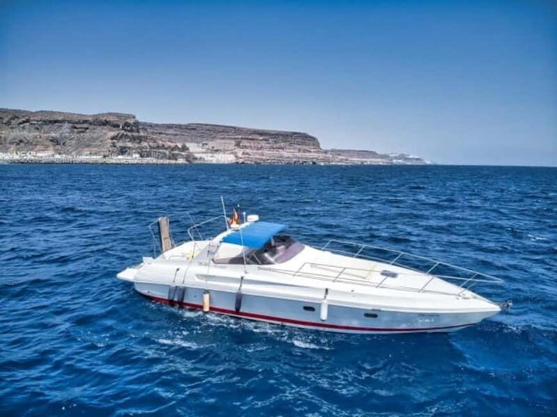 Puerto de Mogán: PRIVATE Yacht for up to 10 persons - What’s Included and What You Should Know