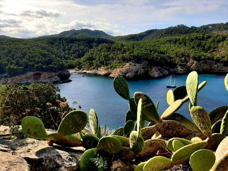 puerto-de-san-miguel-can-marca-cave-guided-tour-with-entry