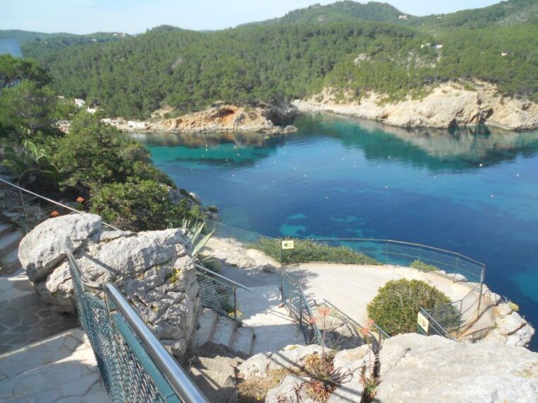 puerto-de-san-miguel-can-marca-cave-guided-tour-with-entry