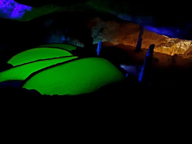 puerto-de-san-miguel-can-marca-cave-guided-tour-with-entry