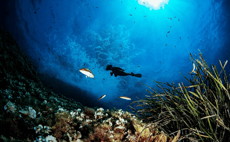 puerto-de-soller-train-and-discover-scuba-diving