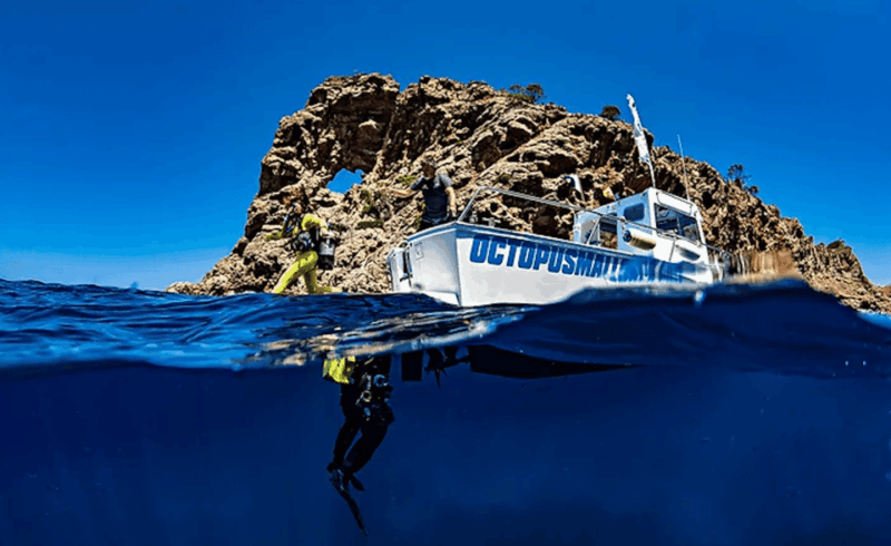 puerto-de-soller-train-and-guided-scuba-diving-experience