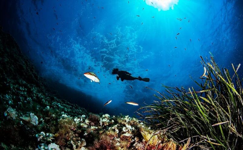 puerto-de-soller-train-and-guided-scuba-diving-experience