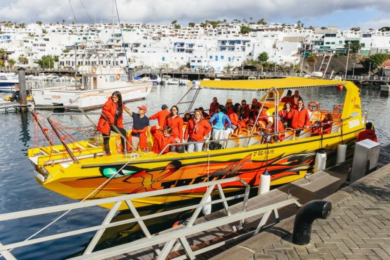 puerto-del-carmen-dolphin-watching-speedboat-tour-with-swim