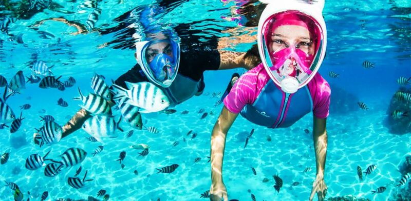 puerto-del-carmen-dolphin-watching-speedboat-tour-with-swim