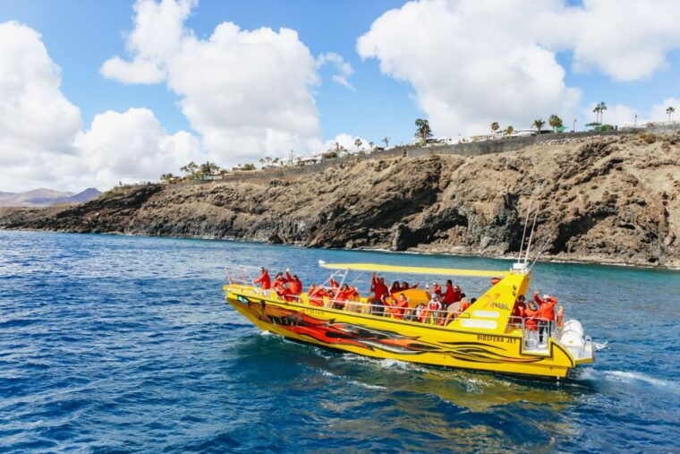 puerto-del-carmen-dolphin-watching-speedboat-tour-with-swim