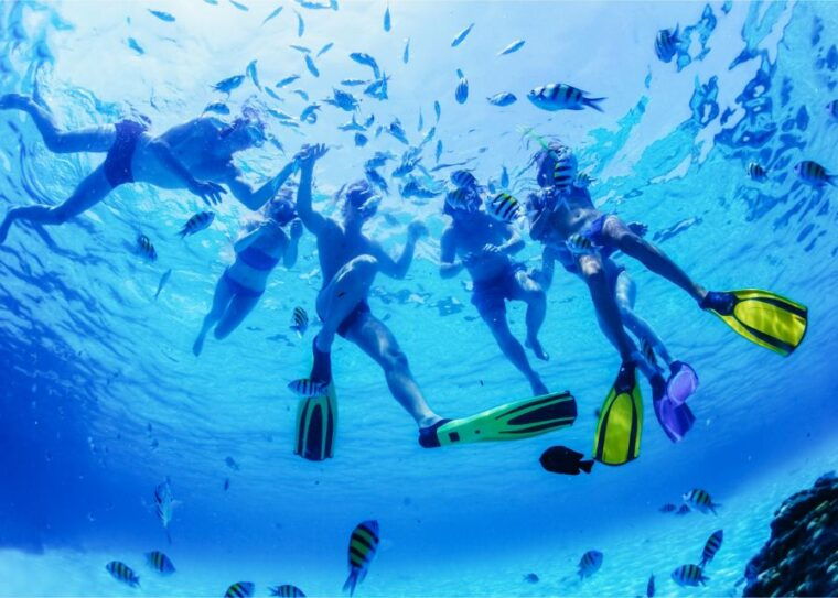 puerto-del-carmen-dolphin-watching-speedboat-tour-with-swim