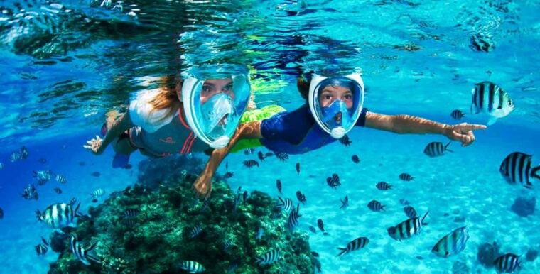 puerto-del-carmen-dolphin-watching-speedboat-tour-with-swim