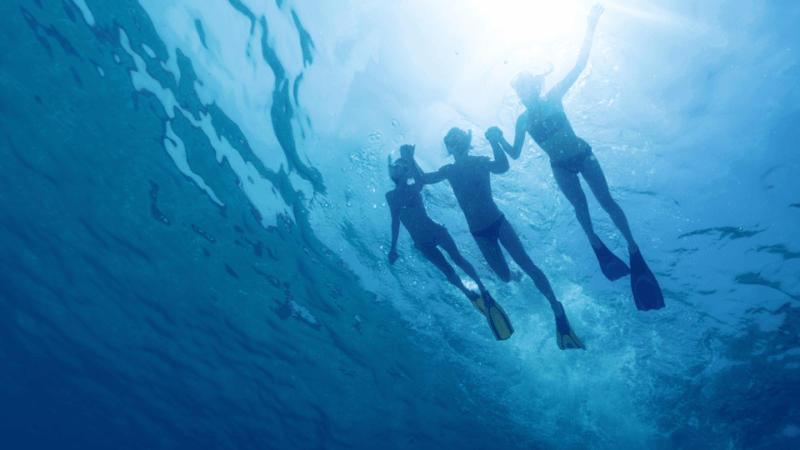 puerto-del-carmen-snokel-tour-with-an-instructor