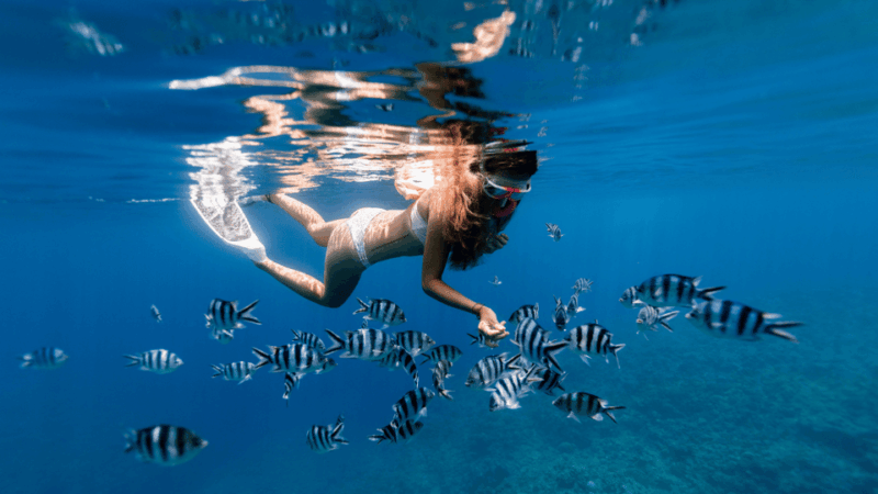 puerto-del-carmen-snokel-tour-with-an-instructor