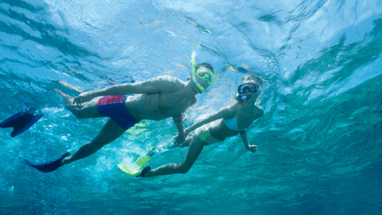 puerto-del-carmen-snokel-tour-with-an-instructor