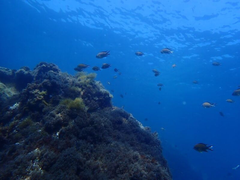 puerto-del-carmen-snorkeling-trip-with-dive-instructor