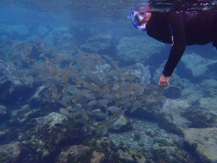 puerto-del-carmen-snorkeling-trip-with-dive-instructor
