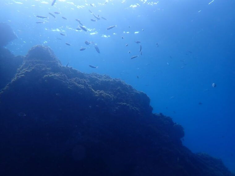 puerto-del-carmen-try-scuba-diving-from-the-beach